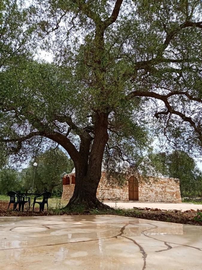 הוילה סן ויטו דיי נורמני Trulli Monte Madre מראה חיצוני תמונה