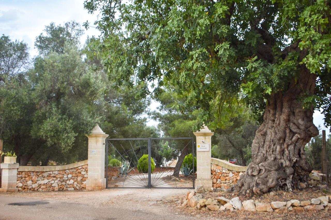הוילה סן ויטו דיי נורמני Trulli Monte Madre מראה חיצוני תמונה