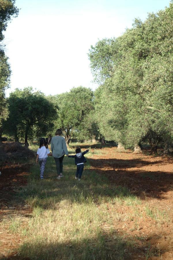 הוילה סן ויטו דיי נורמני Trulli Monte Madre מראה חיצוני תמונה